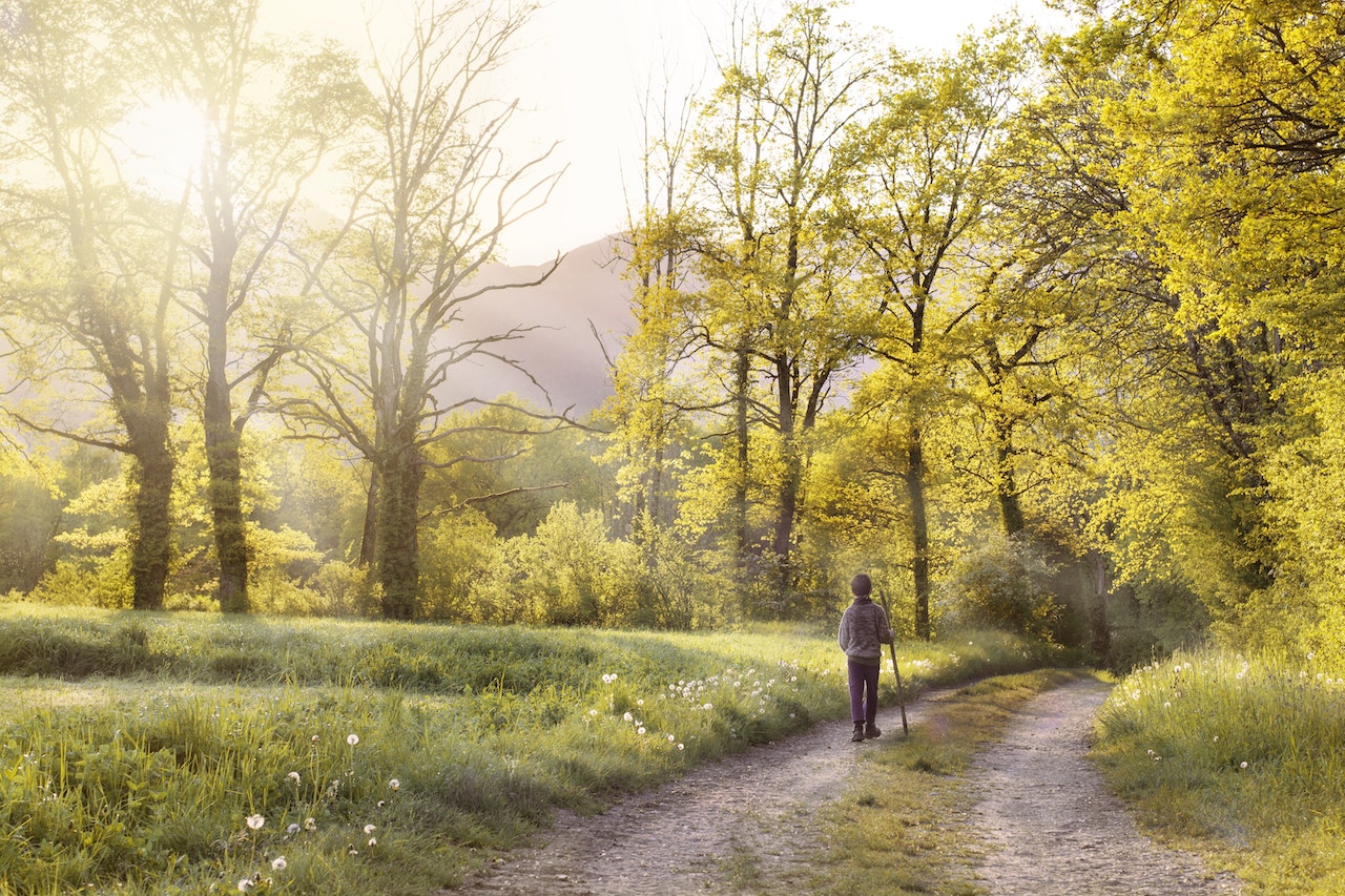 Man Walking in the Forest Holding A Stick
