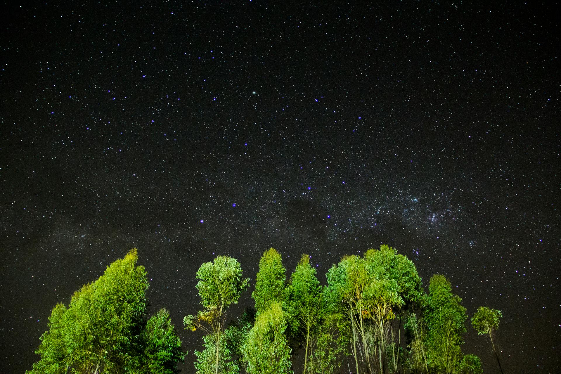 How To Make Money As An Astrologist