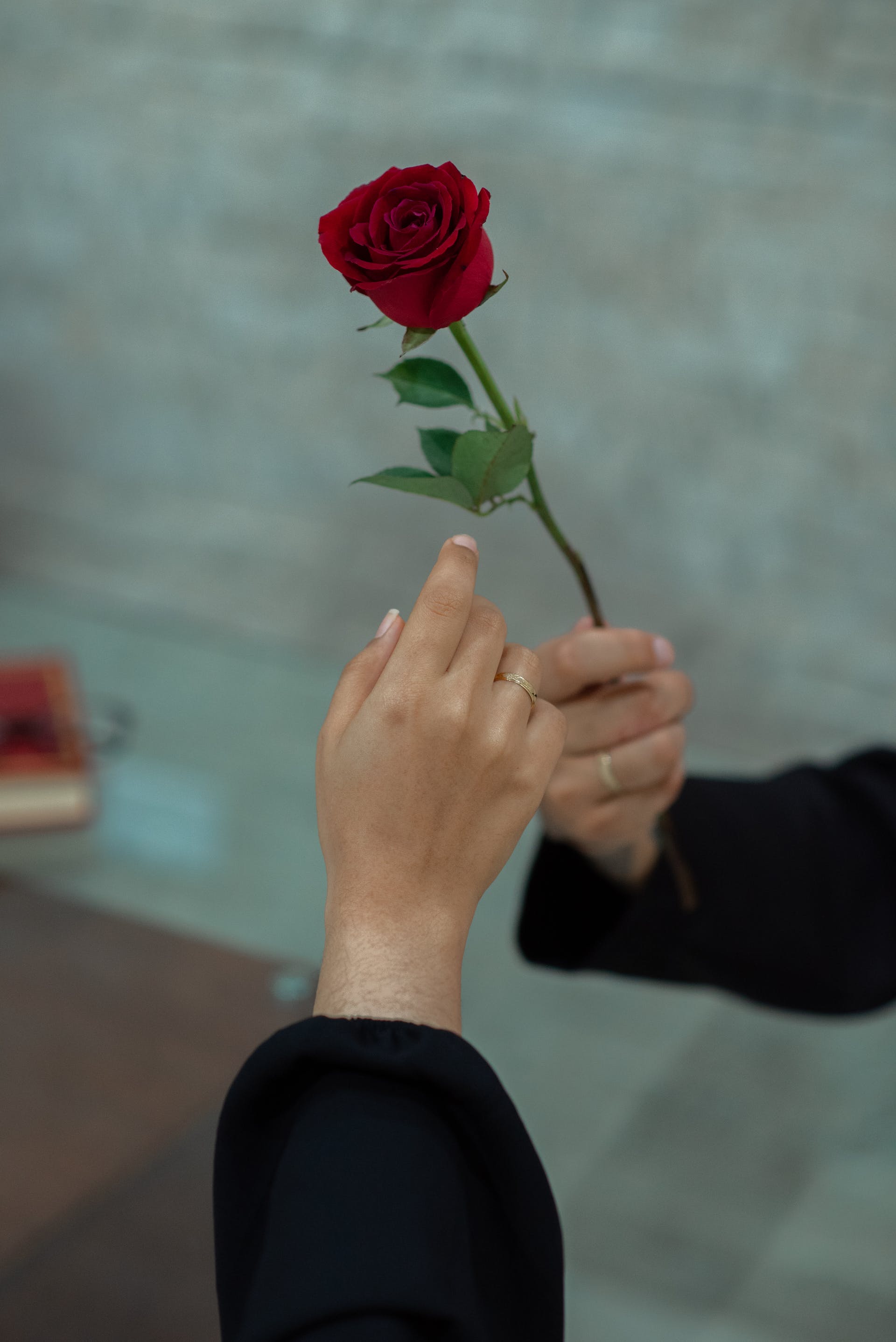 Unveiling The Mystery Of Soulmates: Insights And Guidance On The Quest For True Love